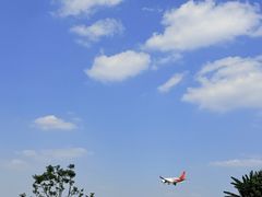 -空港花田景区