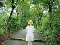-江南天池