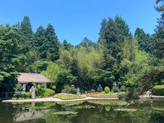 -庐山风景区花径公园