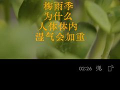 -裕和堂中医推拿艾灸(太古汇臻品店)
