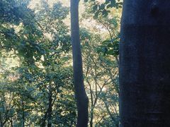 -北京上方山国家森林公园