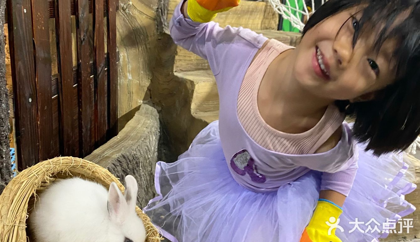 小朋友特别爱把小兔子抱出来撸