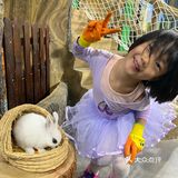 小朋友特别爱把小兔子抱出来撸