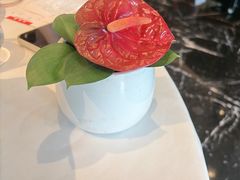 -上海总会SHANGHAICLUB(兴业太古汇店)