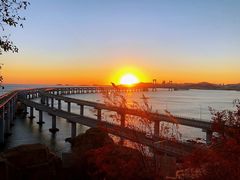 -星海湾跨海大桥