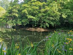 -上海共青森林公园