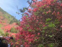 -木兰云雾山