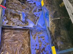 -77号渔船·蒸海鲜青岛菜(积米崖店)