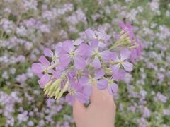 -天宫院风水文化景区