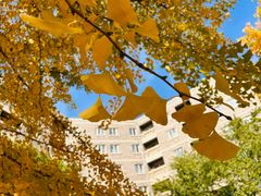 -辽宁大学(崇山校区)