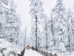 -瓦屋山景区