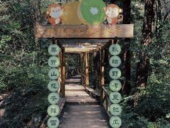 -大岭沟猕猴桃谷风景区