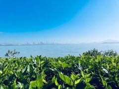 -深圳湾公园-停车场