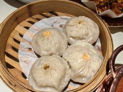 -点都德·毕德寮