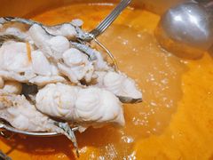 -云尊府云南菜·蒸汽石锅鱼(学清路店)