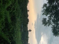 -侯臣咖啡文化村