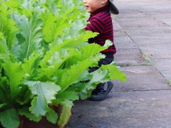 -鄞州雪菜博物馆