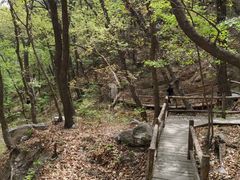 -北京上方山国家森林公园