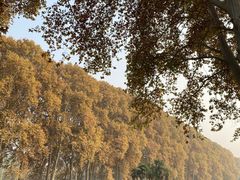 -河南省黄河迎宾馆