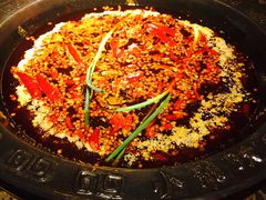 -小龙坎火锅(双林店)