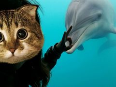 -北戴河圣蓝海洋公园