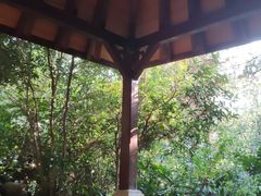 -天目湖涵田半山温泉