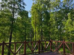 -四明湖