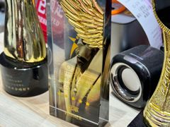 -重庆何乌鱼(金楠天街店)