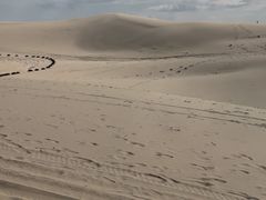 -库伦旗银沙湾旅游景区