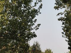 -永定河休闲森林公园