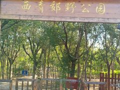 -西青郊野公园
