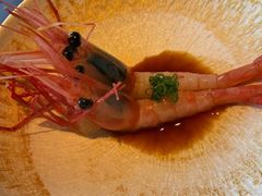 -炎橘·板前料理 Omakase