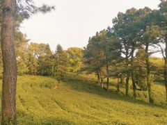-虞山风景区