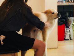 -餐酒吧Com-ing Bar(上海路店)