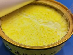 -德禄酸奶(莫家街店)