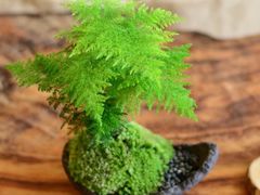 -深运潮州粥(东门店)