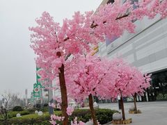-上海颛桥万达广场