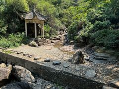 -大奇山国家森林公园