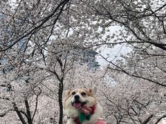 -西北湖绿化广场