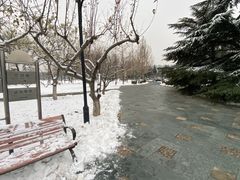 -太阳宫公园