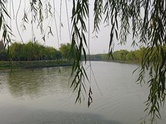 -广富林郊野公园