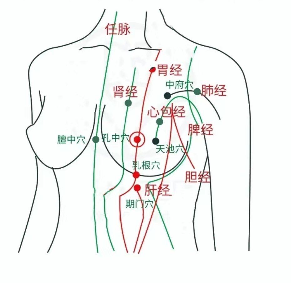 365个,其中约183个都在我们胸部周围,人体经络14条途给胸部的约有9条