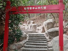 -大屏嶂森林公园