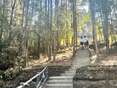 -梭布垭石林景区