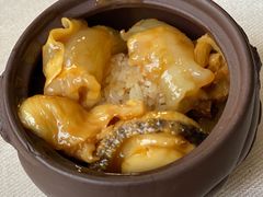 -食神鱼头佛跳墙(百子湾旗舰店)