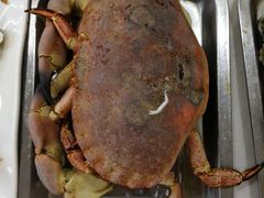 -渔民船说·北塘海鲜·天津菜·海肠捞饭(北塘古镇店)