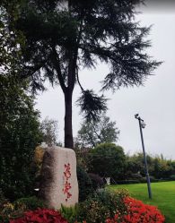 -华东饭店·园林式婚礼宴会厅酒店