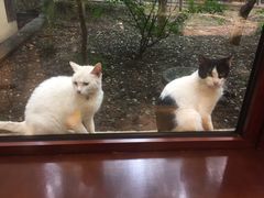 -金石唐风国际温泉会馆