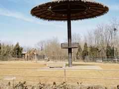 -济南野生动物世界