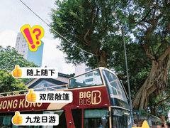 -Big Bus Tours 敞篷观光巴士